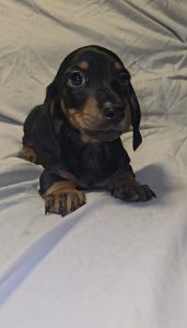 5b477dec-604c-4dcc-b7c3-3e80a43ff8e7