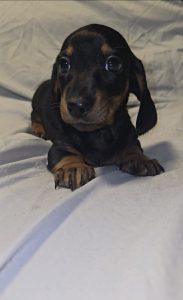 93891eac-bb4f-4f7c-9a27-549474e2a4e9