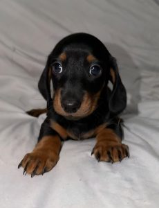 ccbec2a2-4131-4a62-9ea4-77bea286a886